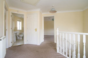 Photo 10- click for photo gallery